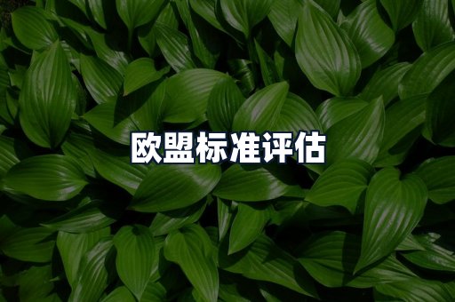 欧盟标准评估